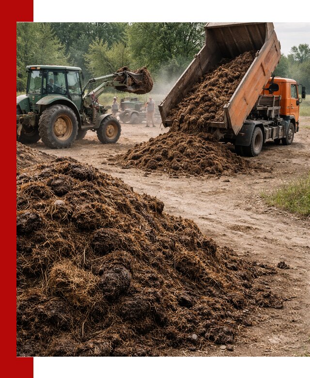 Доставка навоза самосвалами в волжском для сельхозпотребностей